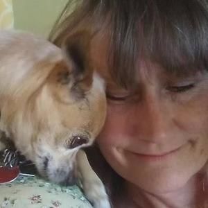 Meet your Posher, Dori